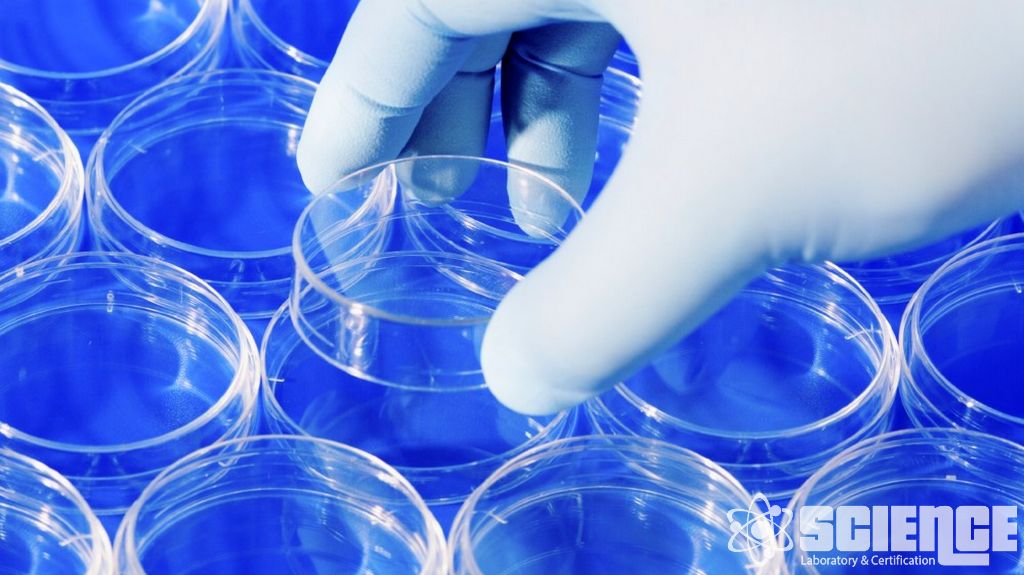 Genotoksisite Gerektiren Biyouyumluluk Testleri