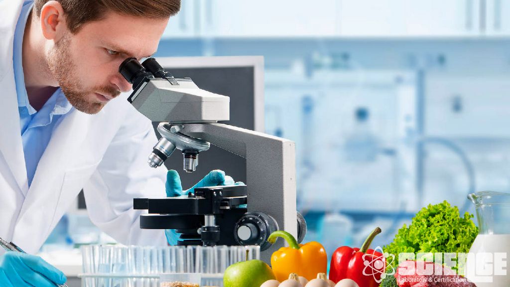 Gıda Mikrobiyolojisi Testleri
