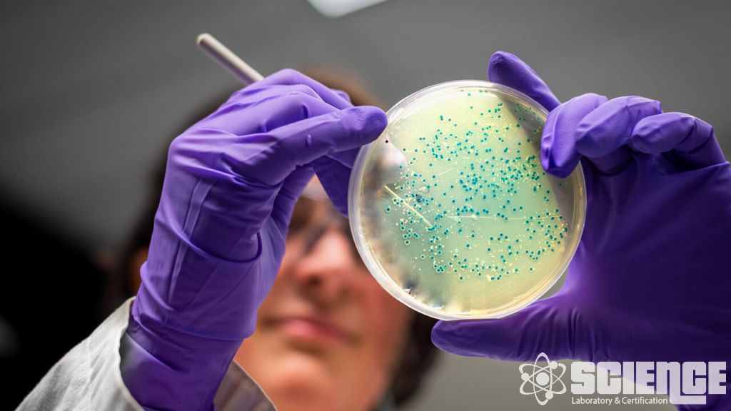 Hammaddeler için Mikrobiyal Limitler Testi